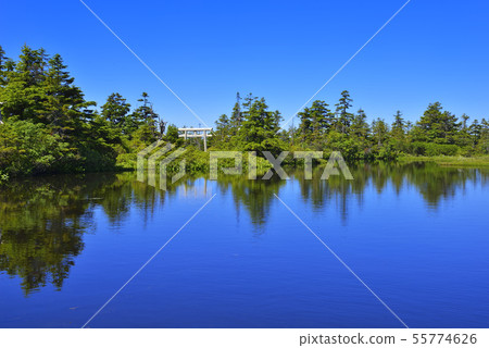 Yogoike Marsh Yogoike Marsh 55774626