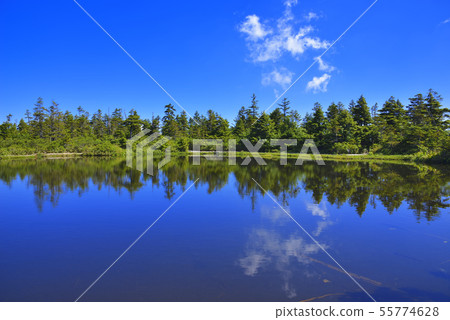Yogoike Marsh Yogoike Marsh 55774628
