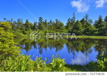 Yogoike Marsh Yogoike Marsh 55774630