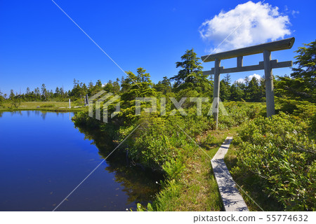 Yogoike Marsh Yogoike Marsh 55774632