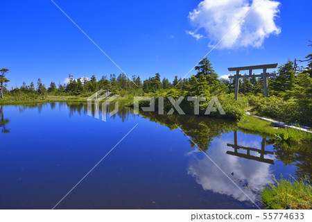 Yogoike Marsh Yogoike Marsh 55774633