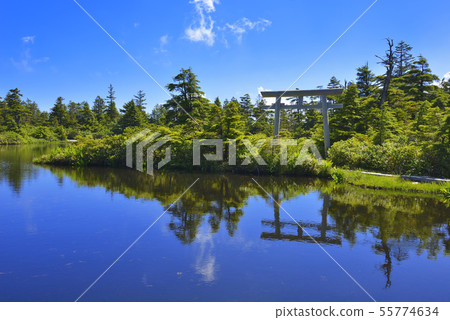 Yogoike Marsh Yogoike Marsh 55774634