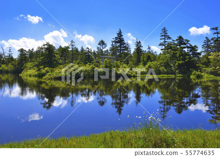Yogoike Marsh Yogoike Marsh 55774635