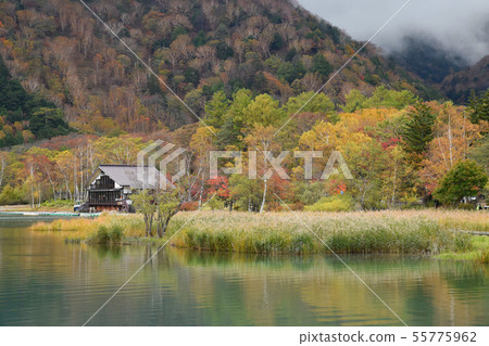 Yu no ko在秋天 Yu no ko在秋天 55775962