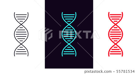 DNA icon with different stroke thickness, Helix. DNA icon with different stroke thickness, Helix. 55781534