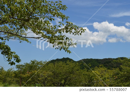 Shimanto Nature Shimanto Nature 55788007