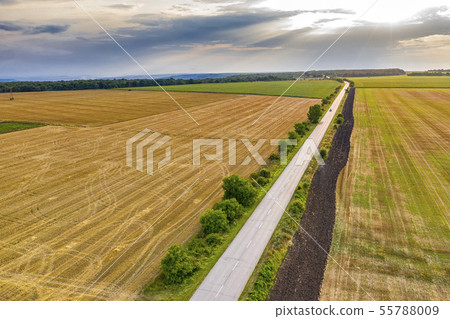 rural landscape rural landscape 55788009