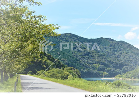 四萬十川的性質 55788010