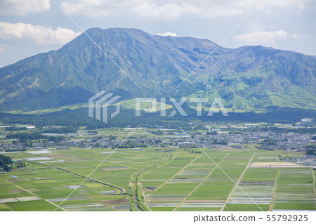 Aso and paddy field Aso and paddy field 55792925