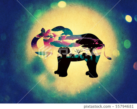 African Night with Elephant Grunge 55794681