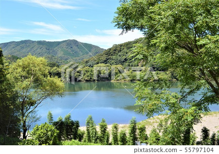 四萬十川的性質 55797104