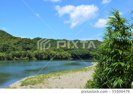 Shimanto River in the summer Shimanto River in the summer 55800476