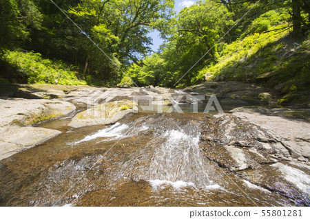 Kikuchi Valley Shizen Waterfall 55801281
