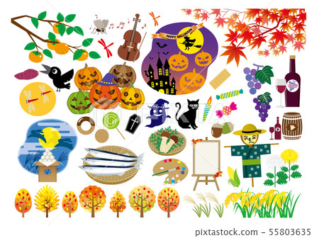 Autumn illustration set 55803635