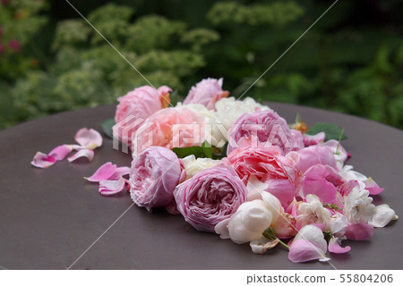 玫瑰花瓣 55804206