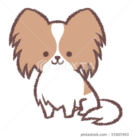 Papillon Sitting Stock Illustration