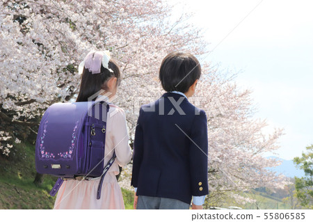 Child back entrance ceremony Child back entrance ceremony 55806585