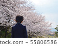 Child back entrance ceremony 55806586
