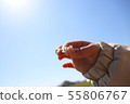 Florets in children's hands 55806767