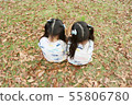 Twin women back view sitting on fallen leaves 55806780