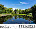 Manyo Forest Pond Water Hyacinth 55808522
