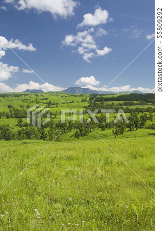 麻生太郎石山 麻生太郎石山 55809292