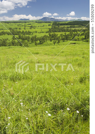 麻生太郎石山 55809299