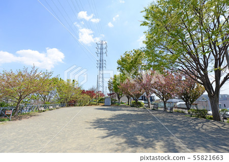 Kohoku Ward, Yokohama City Hiyoshi Park 55821663
