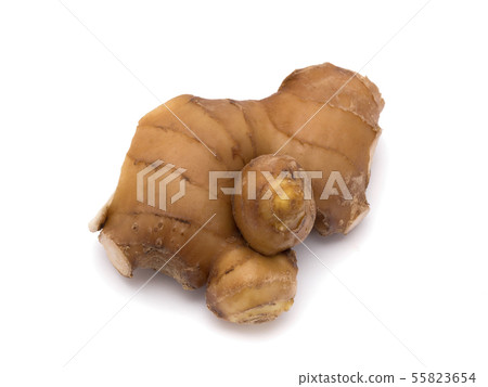 Ginger Ginger 55823654