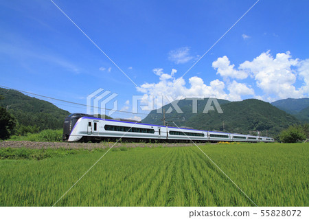 Oito Line Hakuba Sansho Summer 55828072