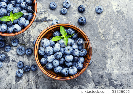 Berries blueberries or bilberry Berries blueberries or bilberry 55836095