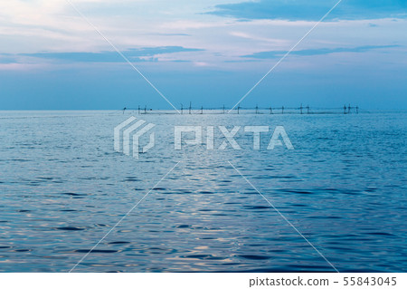 Coastline of the sea in the rays of the setting Coastline of the sea in the rays of the setting 55843045