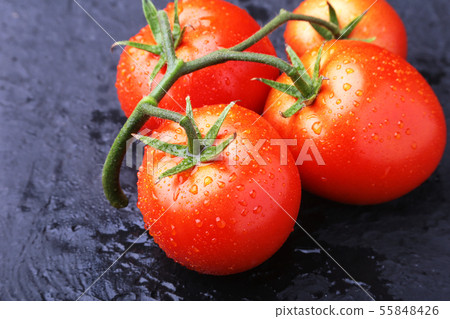 Tomato branch with Very fresh and delicious red tomatoes 55848426
