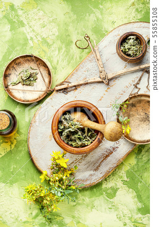 Hypericum medicinal plant Hypericum medicinal plant 55855108