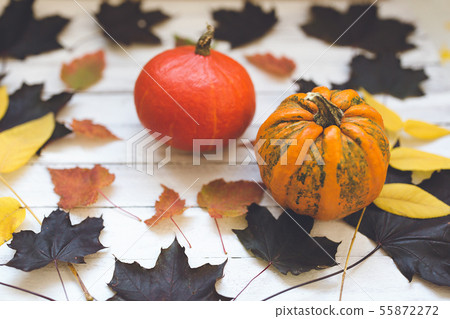 Pumpkins and leaves on a wooden board Pumpkins and leaves on a wooden board 55872272