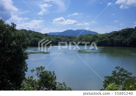 Shinoguri Kyudai Forest（福岡縣Shinaguri鎮） 55891240
