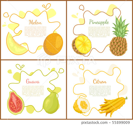 Melon and Pineapple Posters Vector Illustration Melon and Pineapple Posters Vector Illustration 55899009
