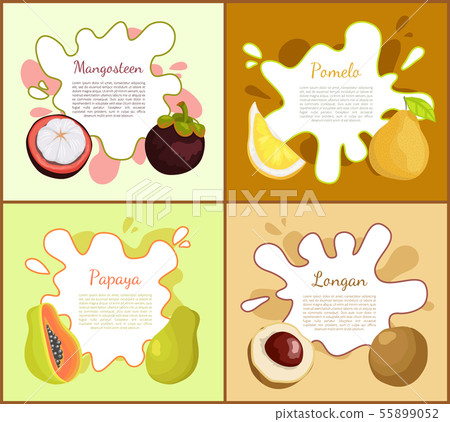 Mangosteen and Pomelo Posters Vector Illustration Mangosteen and Pomelo Posters Vector Illustration 55899052