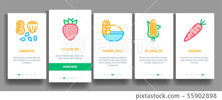Collection Healthy Food Vector Onboarding Collection Healthy Food Vector Onboarding 55902898