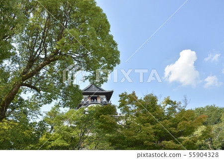 [Aichi] Inuyama Castle in summer 55904328