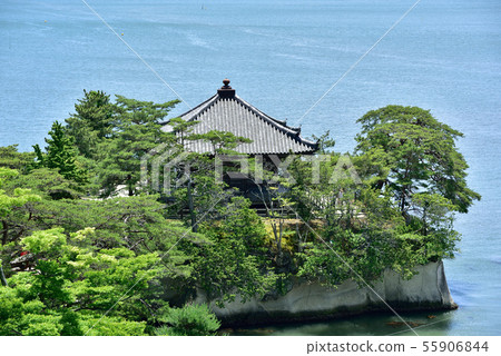 松島高道 55906844