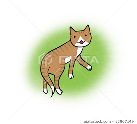 一隻貓轉過身微笑（圓綠色背景）的插圖 55907149