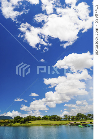 綠草如茵湖畔藍天白雲 55907415