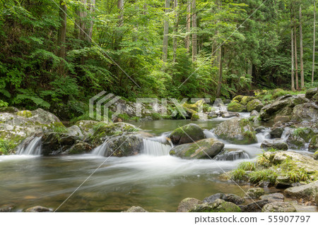 Jinkoshi Valley 55907797