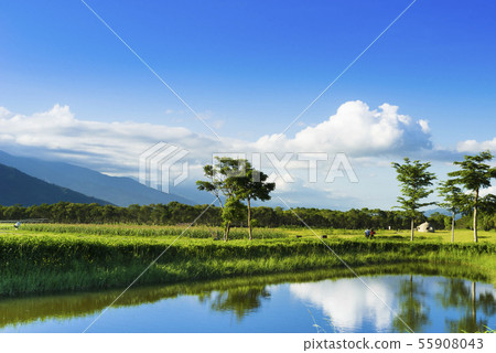 花東縱谷大農大富平地森林園區 55908043