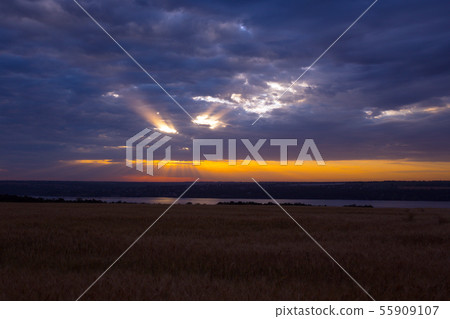 sunrise over the wheat field sunrise over the wheat field 55909107