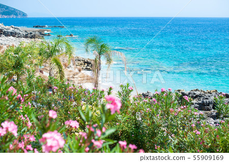 Rocky beach and crystal turquoise water of Ionian Sea in Albania. Calm and relaxing view 55909169