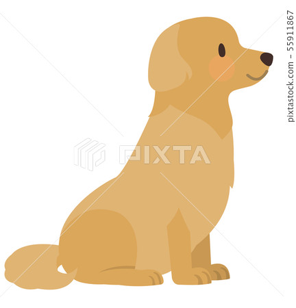 Golden Retriever Profile Illustration - Stock Illustration [55911867] -  Pixta