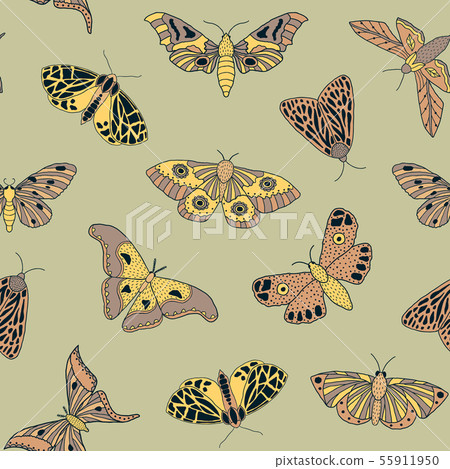 pattern with hand drawn butterflies and moths - Stock Illustration ...