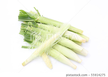 young corn 55914275